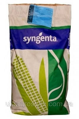 Семена кукурузы СИ Феномен (Syngenta) ФАО 220 - фото 1 - id-p883102621