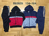 Спортивний костюм 2 в 1 для хлопчика, Grace, 146 см, № B83829, фото 7