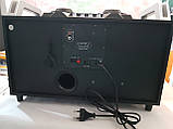Бумбокс портативний AILIANG UF-1606B-DT колонки USB/Bluetooth/FM-тюнер/Пульт ДК , фото 7