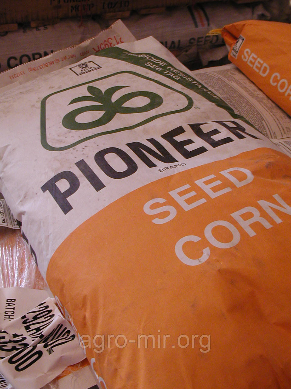 Насіння кукурудзи Піонер ПР39Т45 (Pioneer PR39Т45) ФАО 250