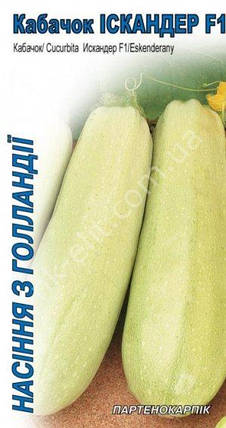 Кабачка Іскандер F1 5шт (Seminis), фото 2