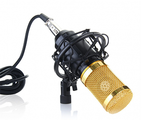 Мікрофон студійний M-800