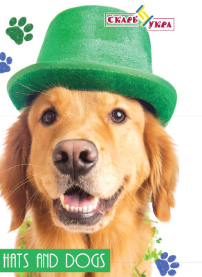 Блокнот А6 160 к. клітка