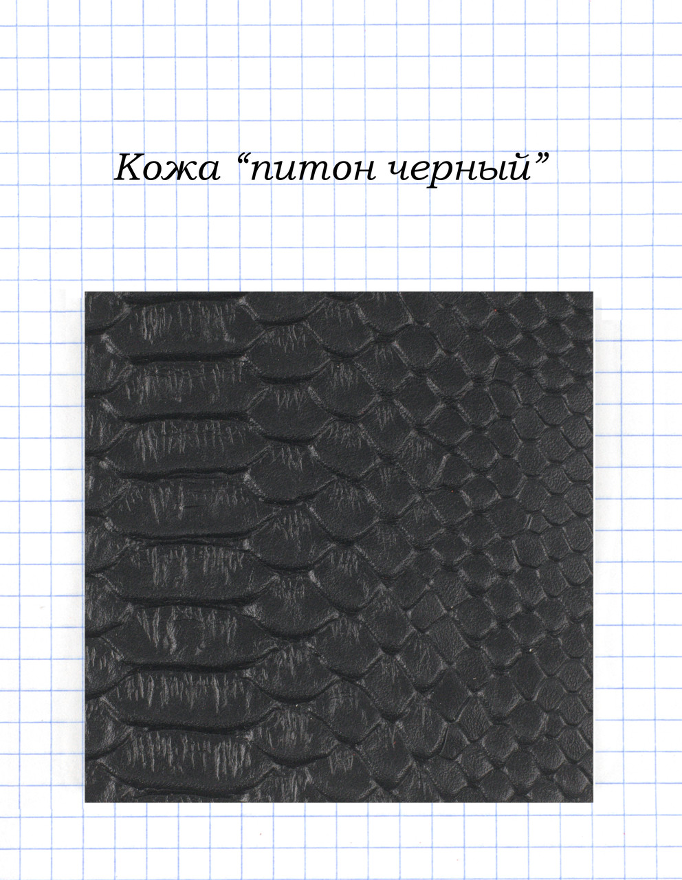 Шкіра "пітон чорний"