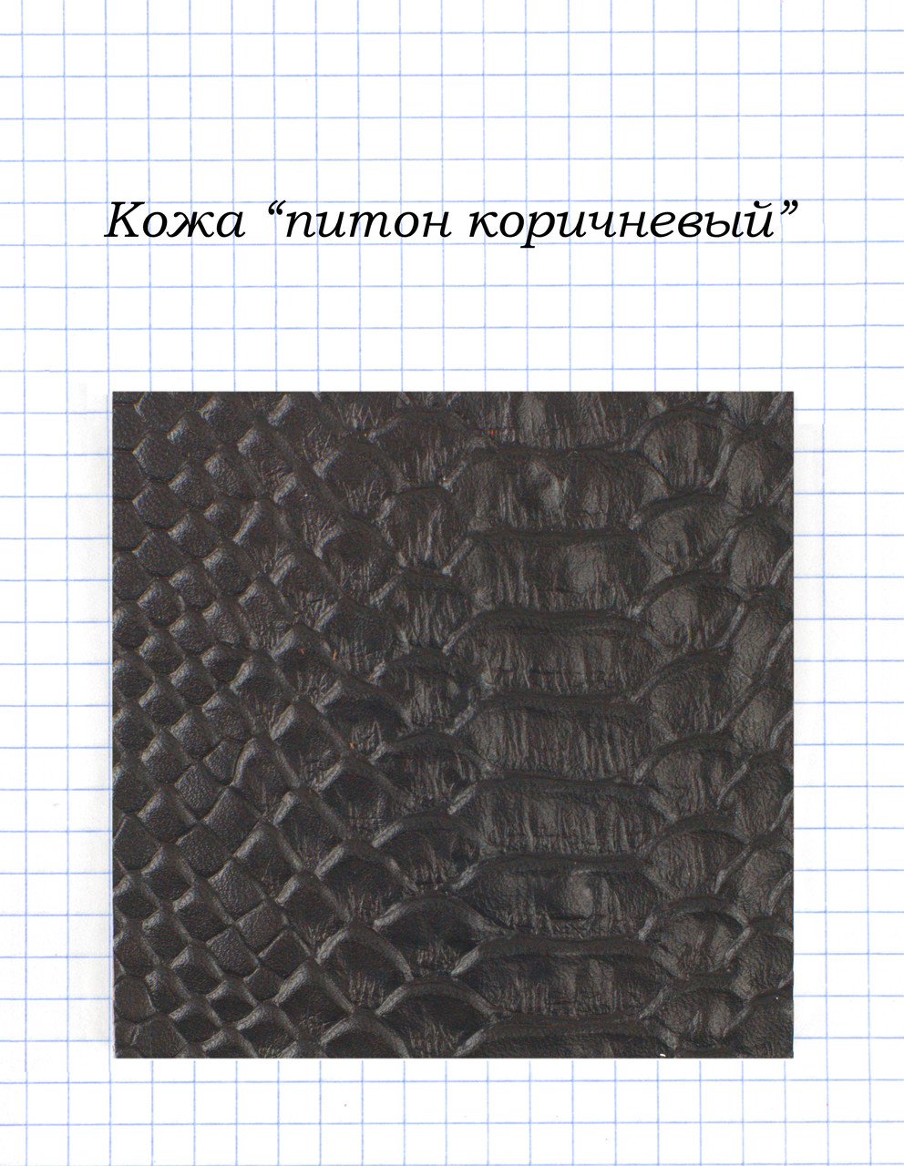Шкіра "пітон коричневий"