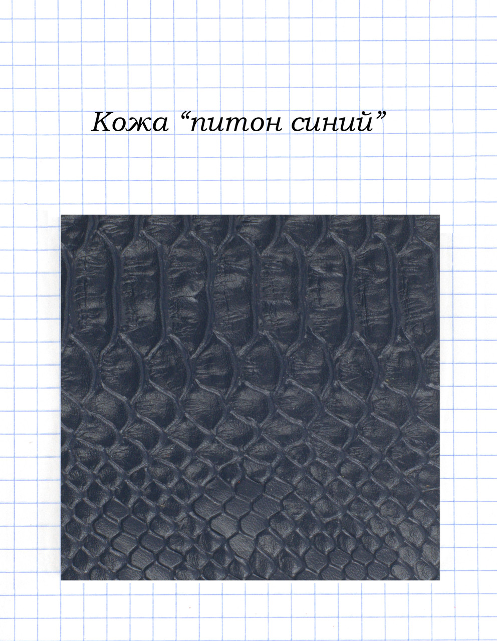 Шкіра "пітон синій"