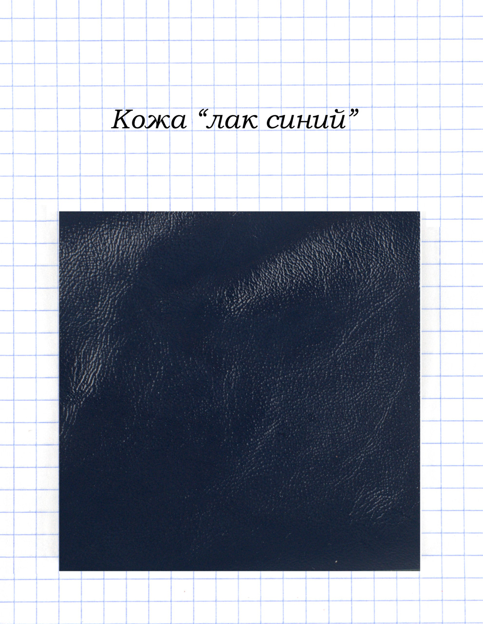 Кожа "лак синий"