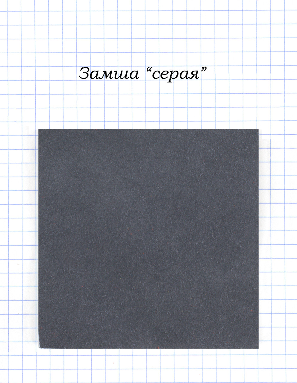 Сіра Замша.