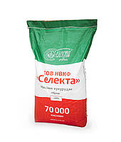 Кукурудза Зернослав ФАО 230