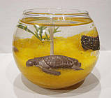 Декоративна гелева свічка Чародійка куля морська черепаха, фото 2