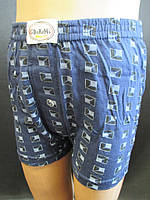 Трикотажні труси для хлопчиків.