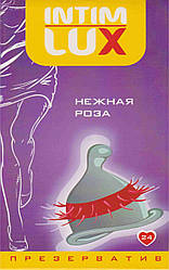 Презервативи Intim Luxe "Ніжна троянда"