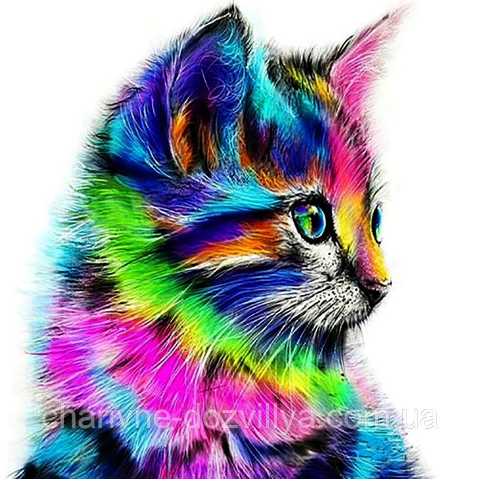 Набір алмазної вишивки (мозаїки) "Райдужний котик"