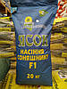 Насіння соняшнику Ясон (інститут Юрієва В.Я.), фото 3