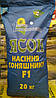 Насіння соняшнику Ясон (інститут Юрієва В.Я.), фото 5