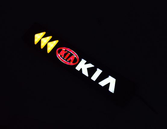 Гнучкі денні ходові вогні з повторювачем повороту LED DRL C2 Kia, фото 2