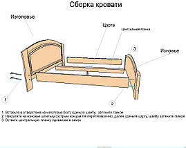Дерев'яне ліжко "Лаура" Driv Line, фото 6