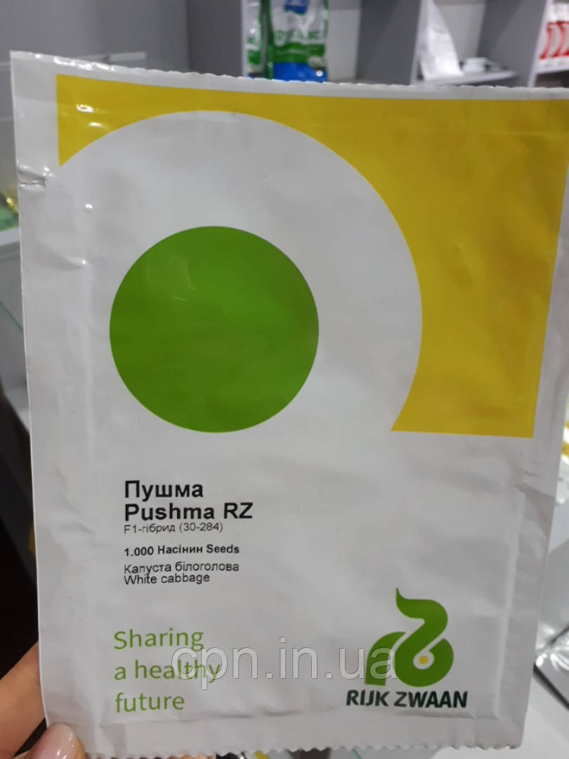 Насіння капусти Пушма F1 / Pushma F1 48-52 дн (1000 м)каліброване
