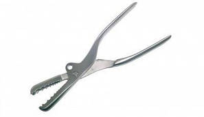 Костодержатели