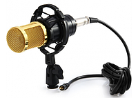 Микрофон студийный DM 800, Профессиональный конденсаторный микрофон, микрофон для видео и стримов