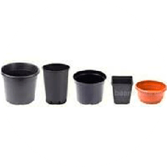 Контейнери та ємності для рослин