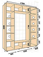 Шкаф-купе 2500*450*2400, 3 двери (Алекса)