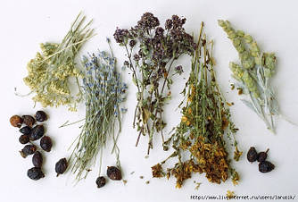 Контрактне виробництво: Послуга сушіння та подрібнення ягід, фруктів, овочів та грибів