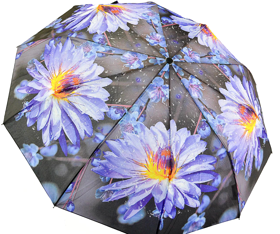 Жіноча парасолька напівавтомат на 10 спиць від SL, сині ромашки, 0471-5