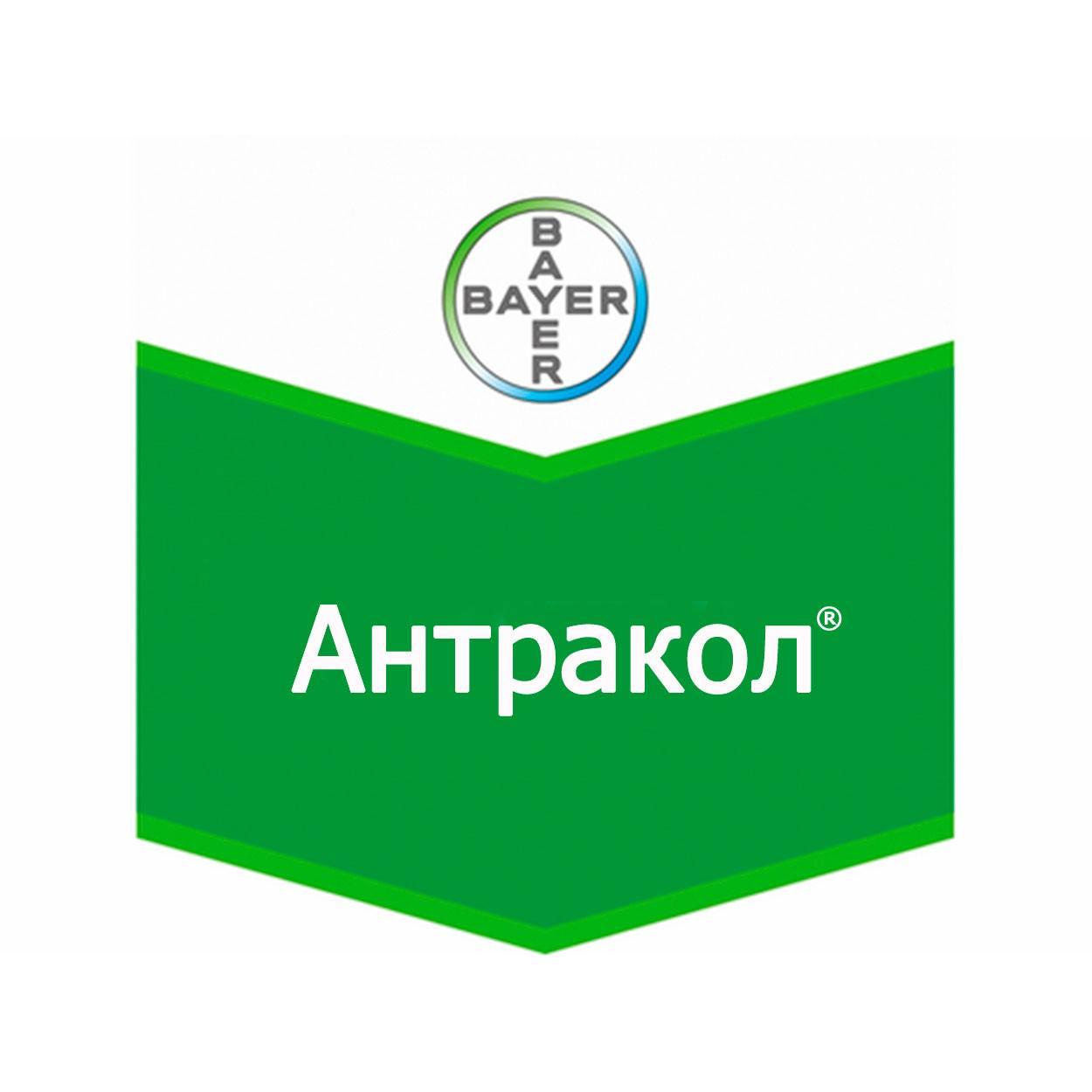 Фунгицид Антракол 70 WP, цена 5160 грн — Prom.ua (ID#886054956)