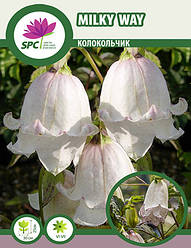 Дзвіночок Milky Way