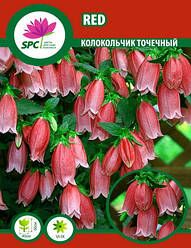 Дзвіночок Red