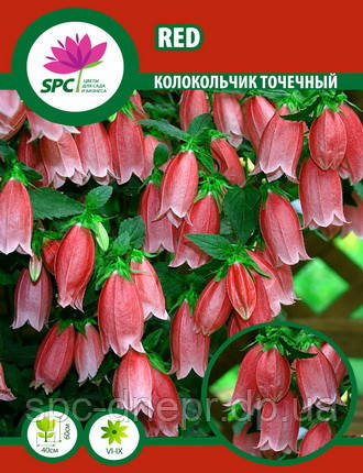 Дзвіночок Red, фото 1