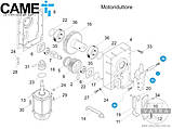 CAME 119RIG052 важіль мотора шлагбаума GARD запчастина для G4000 G3250 G3750, фото 6