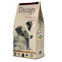 Сухий корм Dican Up Crossbreeds (для дорослих собак з нормальною та зниженою активністю) 18кг