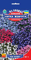 Лобелія Нитка Перли суміш низькоросла чарівна пишна заввишки 10-15 см, паковання 0,1 г