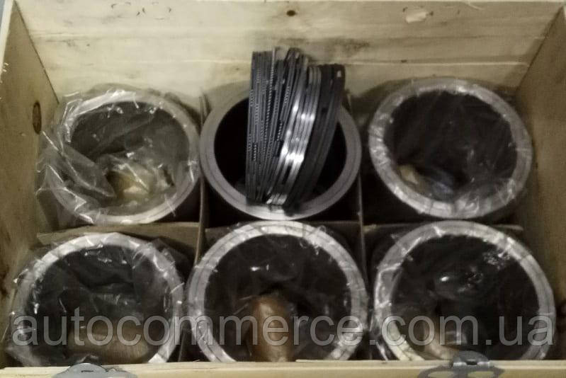 Поршнева група FAW CA3252 (комплект поршневий двиг.СА6DL-31 ФАВ 3252)
