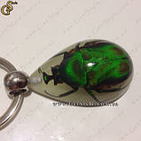 Брелок з смарагдовим жуком - "Green Bug" світитися у темряві, фото 3