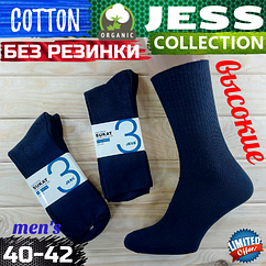 Чоловічі демісезонні шкарпетки сині Jess Туреччина без гумки медичні 40-42р високі НМД-05855