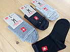 Медичні шкарпетки чоловічі демісезонні без гумки х/б "BFL" НМД-05554, фото 2