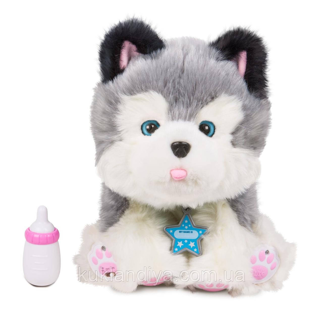 Little Live Pets Frosty My Dream Puppy