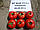 Насіння Детермінантне гібрид великоплідного томата BT BURTY F1, раннє, 500 насіння BT TOHUM, фото 5