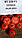 Насіння томату BT 236 F1, раннє, BT TOHUM Туреччина, фото 10