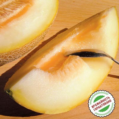 СВІТ АНАНАС/SWEET PINEAPPLE, 10 насіння — диня, Satex