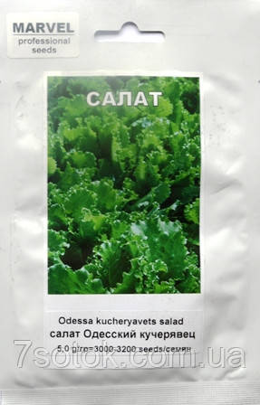 Насіння Салату Одеський кучерявець (Україна), 3000-3200 насінин (3 г)