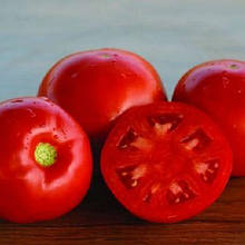 Дебют F1 1000 шт. насіння томату низькорослого Seminis Голландія