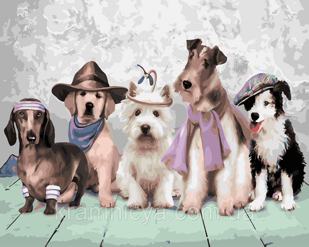 Картина за номерами 40х50 Собача мода (GX26209), фото 1