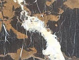 Коричневий мармур Ebony Gold, фото 3