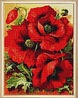 Алмазна вишивка Вогняні маки 30х40 см, повна викладка, квадратні стрази Huacan, фото 2