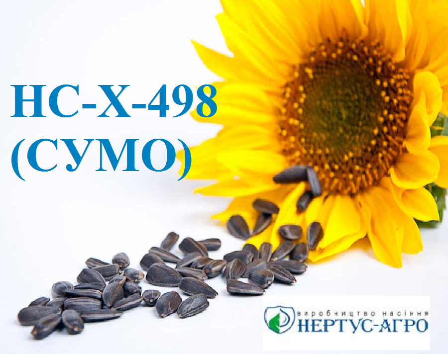 Насіння соняшника НС-Х-498 (СУМО) (еліт), А-Е, 2017 р.в., Нертус Агро