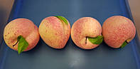 Фрукты крупные "Персик с листиком"